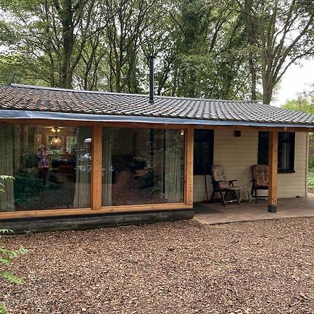 Huisje In Het Bos Zuidlaren Dış mekan fotoğraf