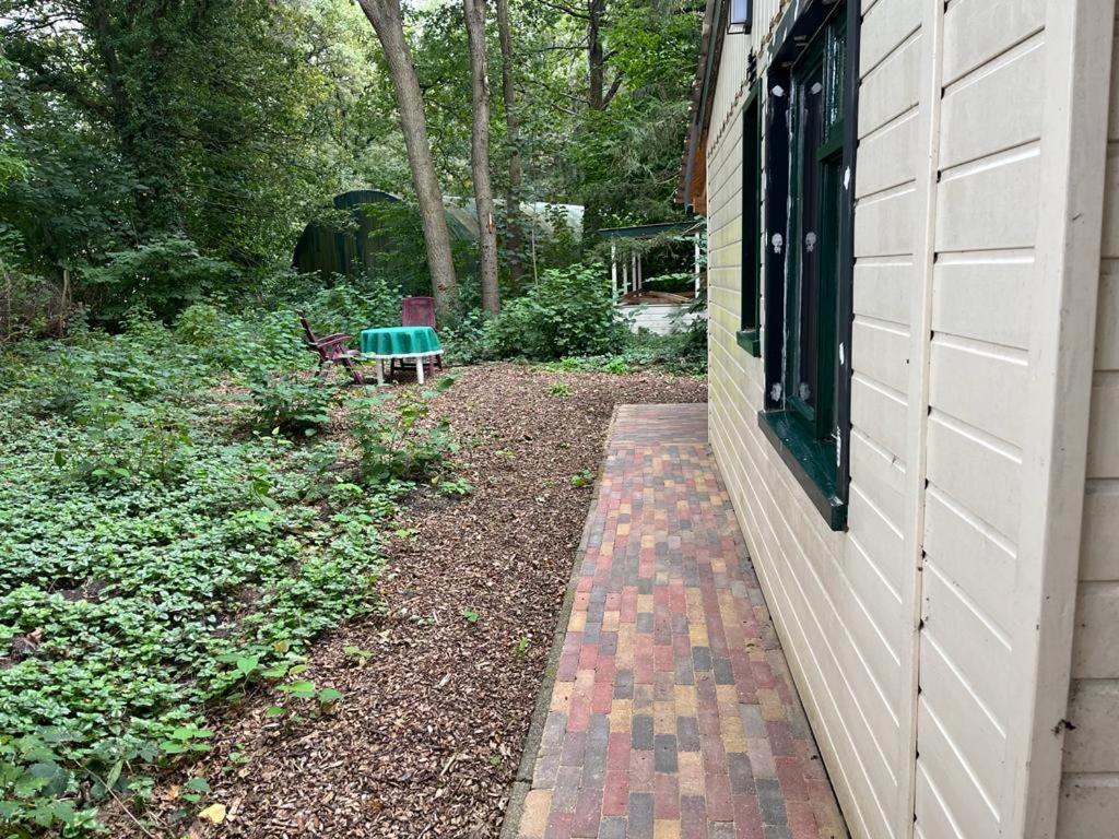 Huisje In Het Bos Zuidlaren Dış mekan fotoğraf