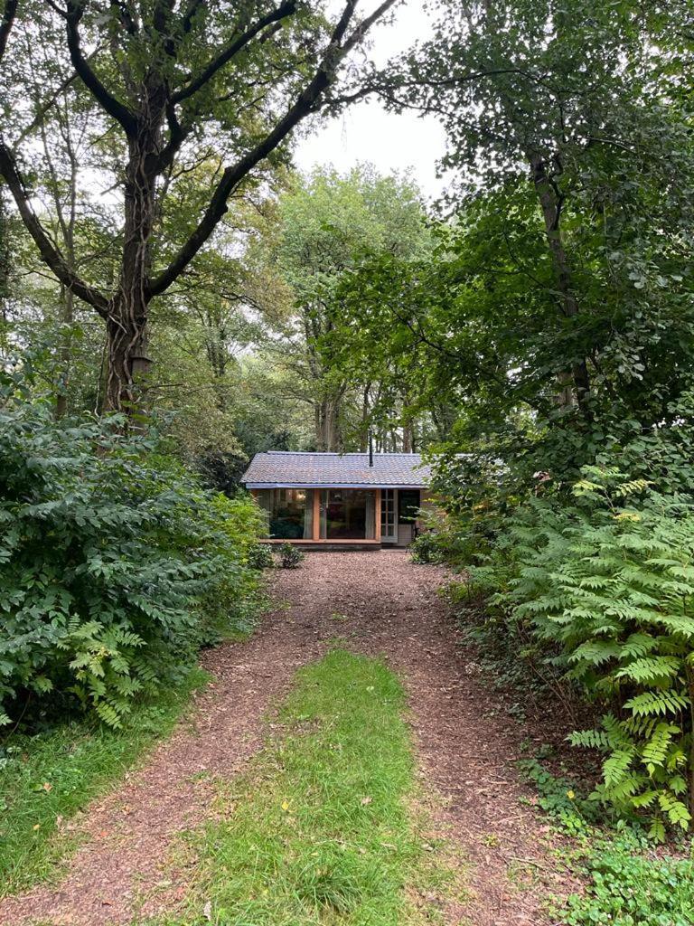 Huisje In Het Bos Zuidlaren Dış mekan fotoğraf